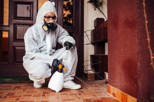 Reliable Ant Control contractor in Woodland, CA by Nex Pest Control